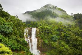 SRI LANKA FOUR DAYS TOUR